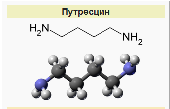 Пишет Лев Вершинин: Характерные признаки птомаинов