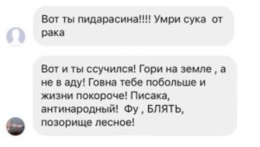 Пишет Борис Рожин: Казус Слепакова