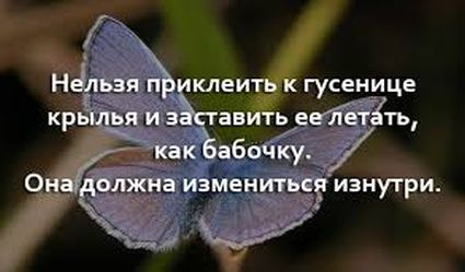 Роман "Донецкий": Мысли вслух (2)