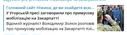 Владимир Золкин: Отлавливают всех, венгров упаковывают по полной